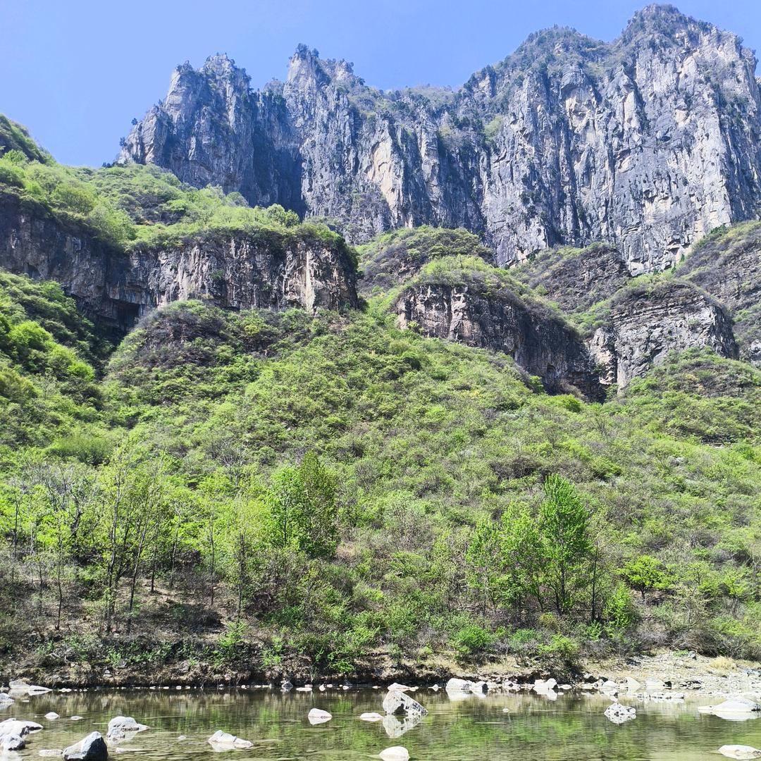 山意迟迟