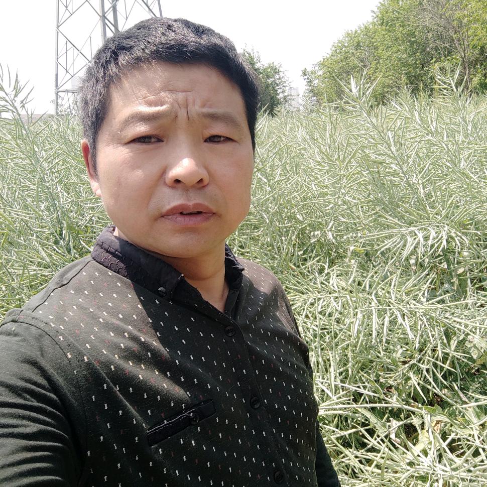 陈涛（庄稼医生）