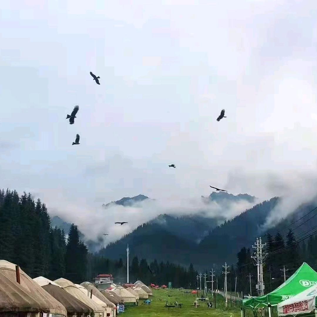 南山小峡谷1号农家乐