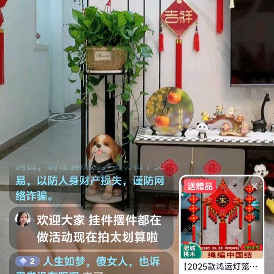 傻女人，以前的杨婷死了，希望一路绿灯