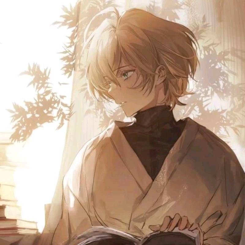 自由的呆呆熊tgh