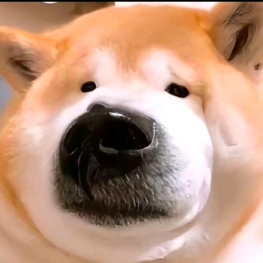 W……