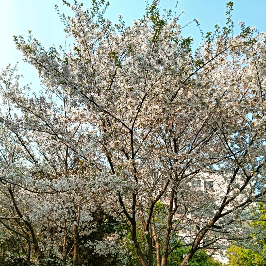 镀铝锌吃的