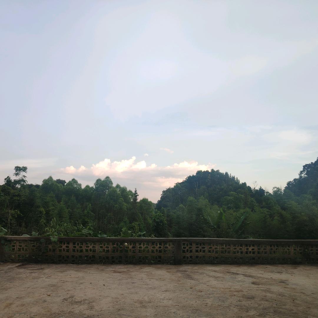 小董