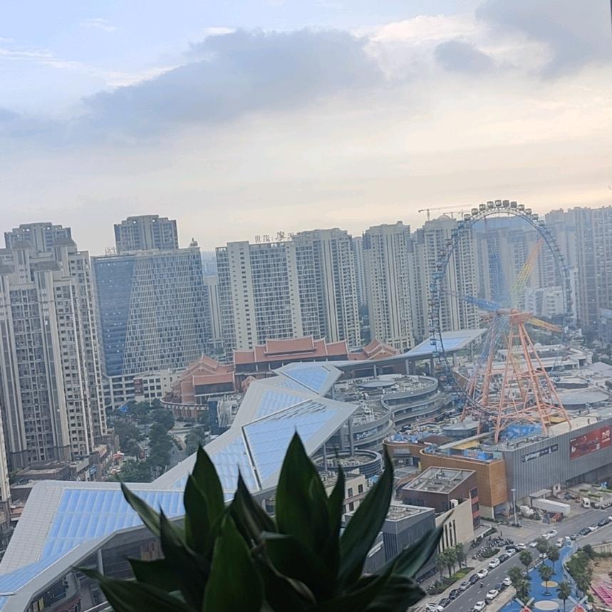 阿真家的小店