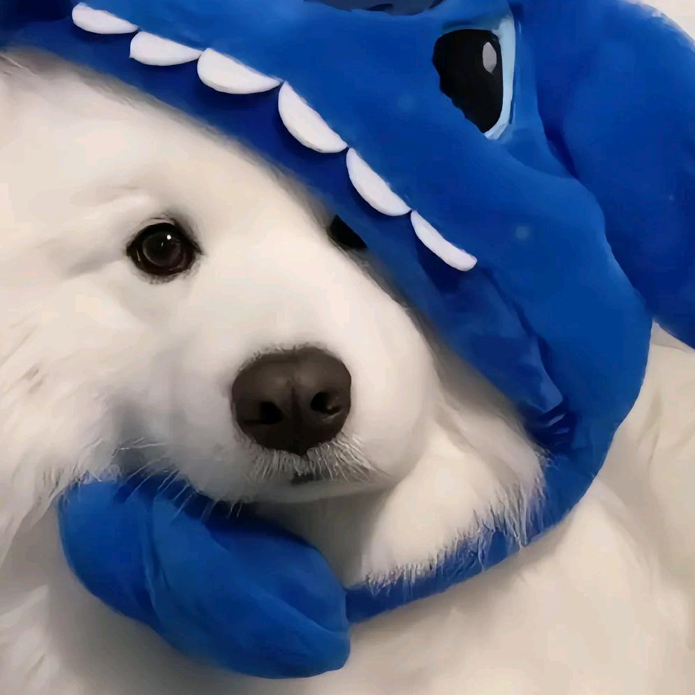 茉莉奶绿（橱窗）