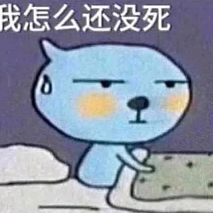 起菲了