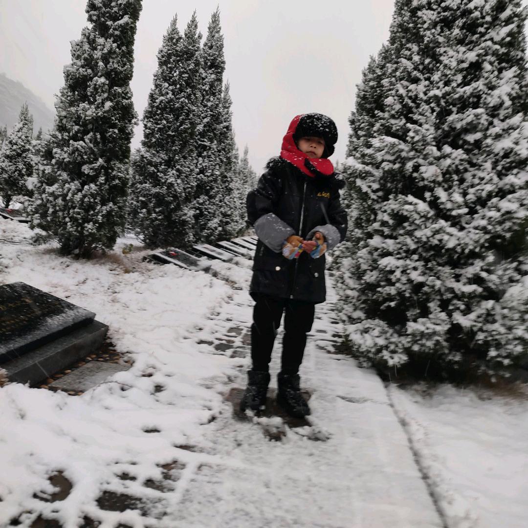 柠檬不檬