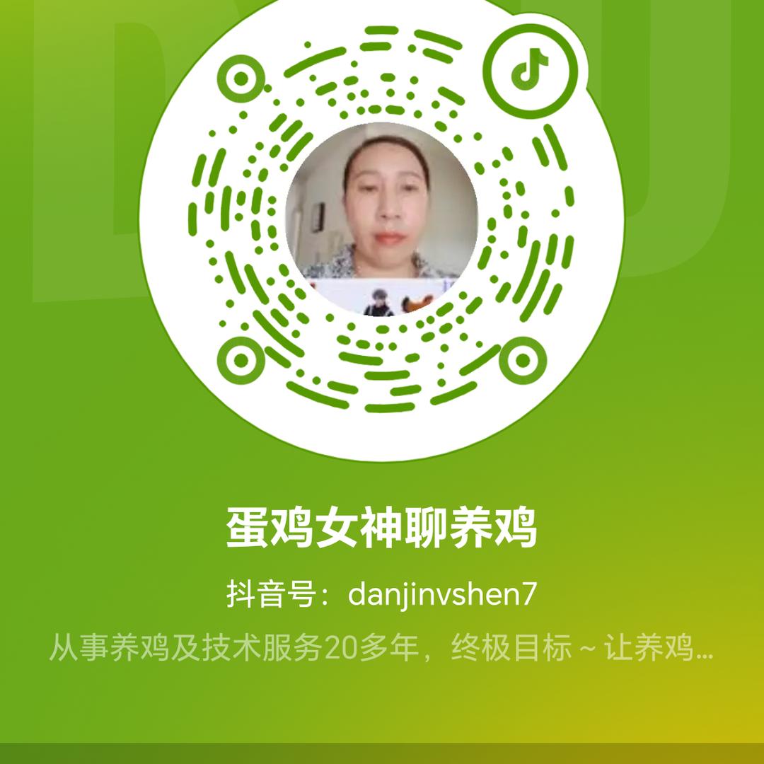 蛋鸡姐聊养鸡