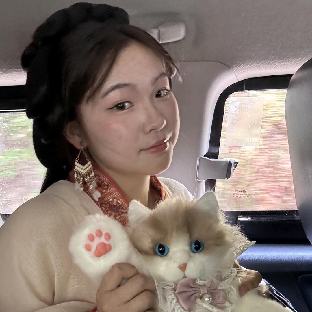 懒猫