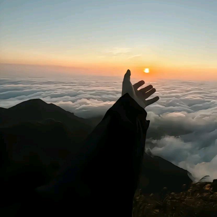 懒得起名