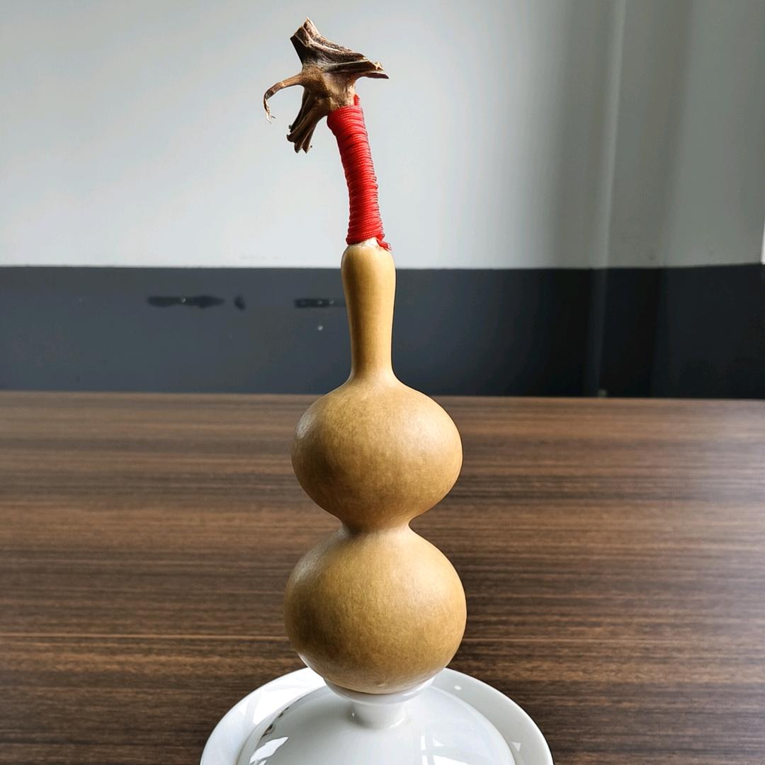 涛哥钓大青