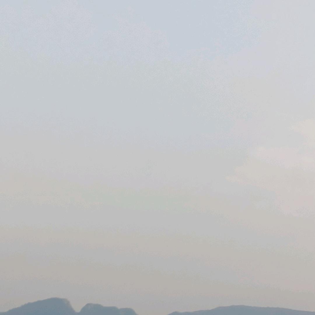 光头