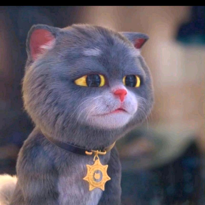 DY等130。希机移出去