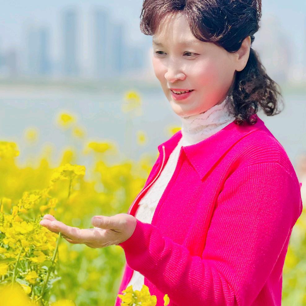 蕊凤凰