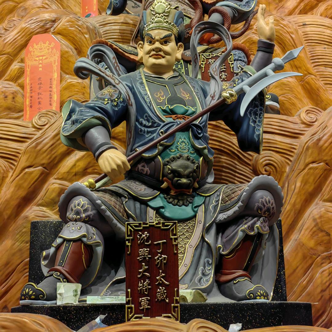 野…