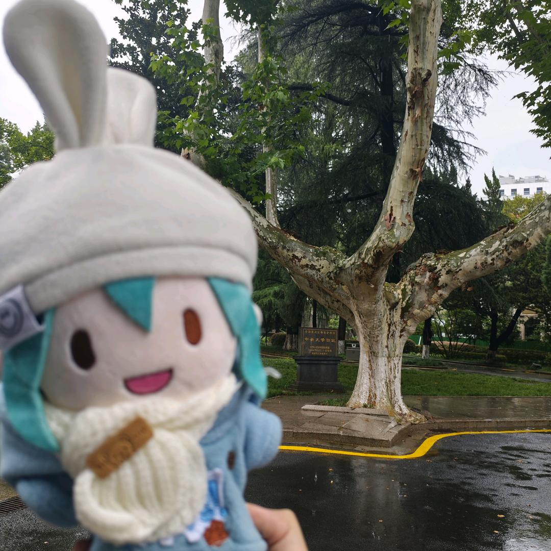 奶牛|（★ StatTrak™)略有磨损