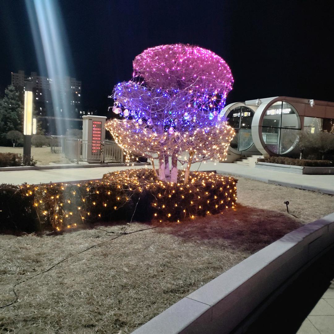 王鑫