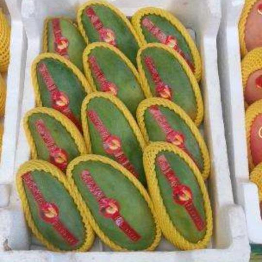 石家庄惠民生鲜配送（客服）