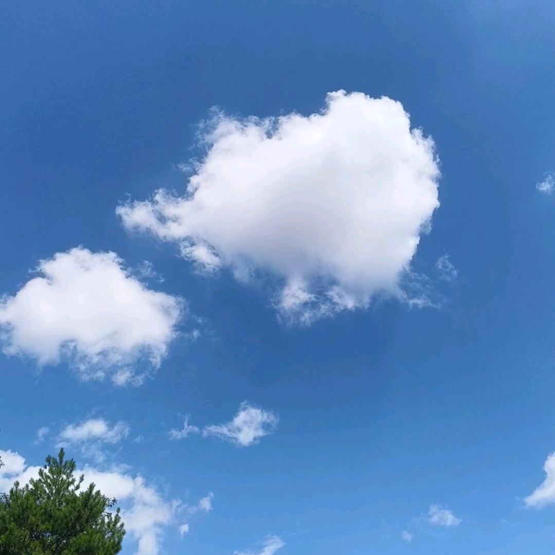 何何何