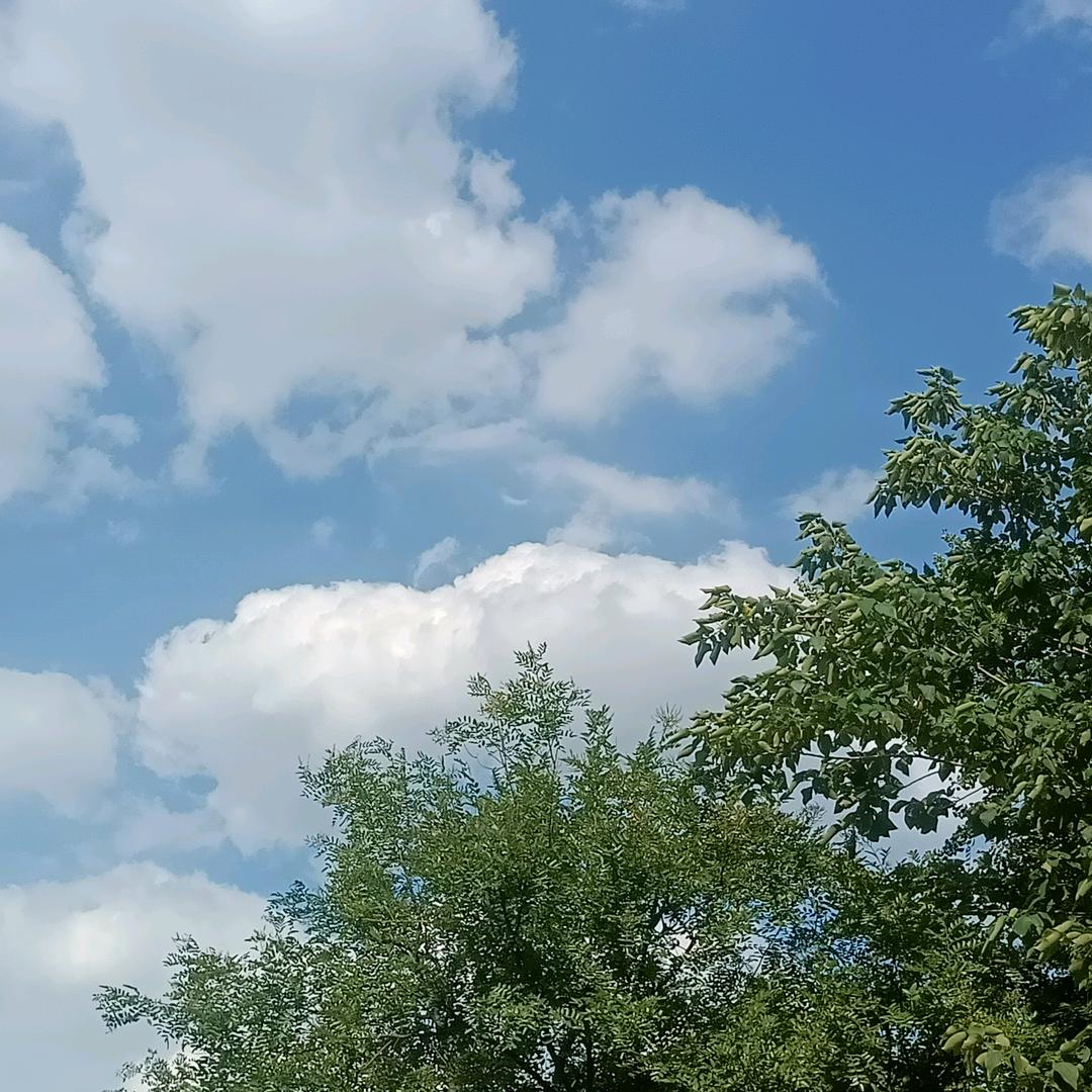 常常喜乐，凡事感恩。