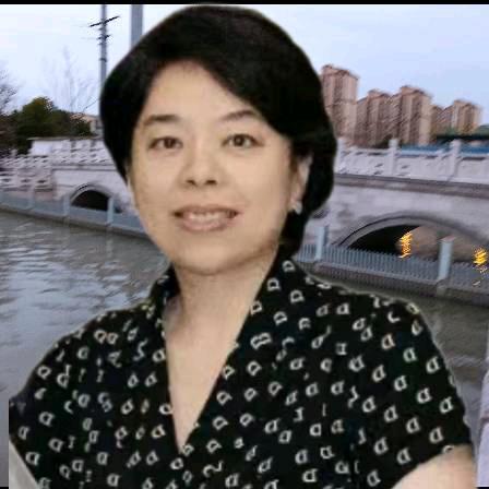 朱姐聊留学