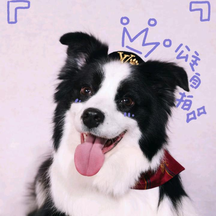 鼠标咪Ya…！（亚轩宝宝）