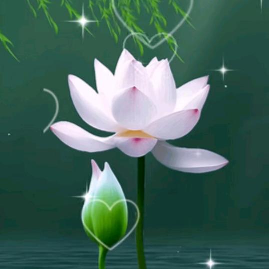 🌸自然而然🌸