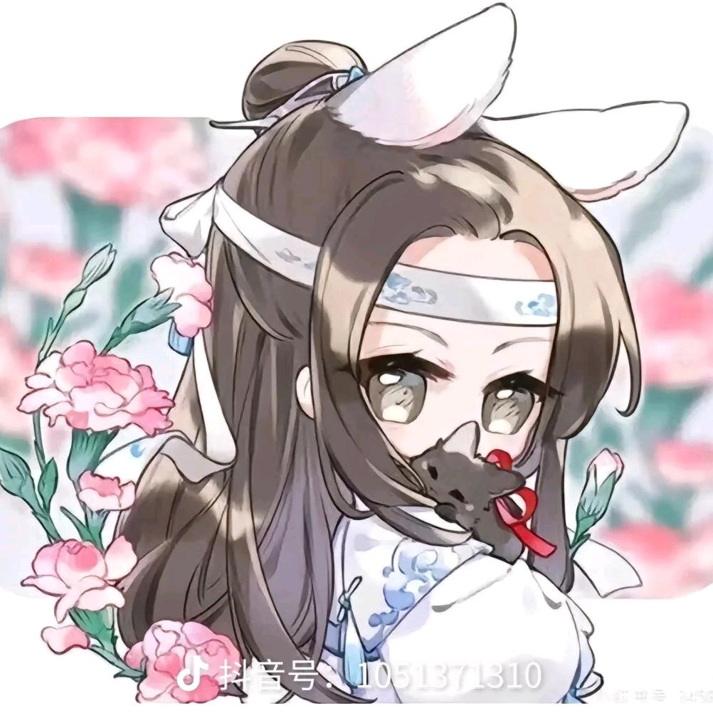 蓝湛
