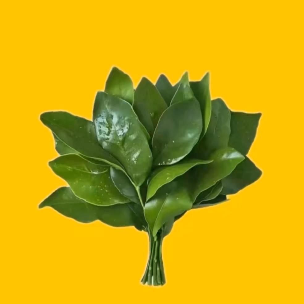 ᥫᩣ