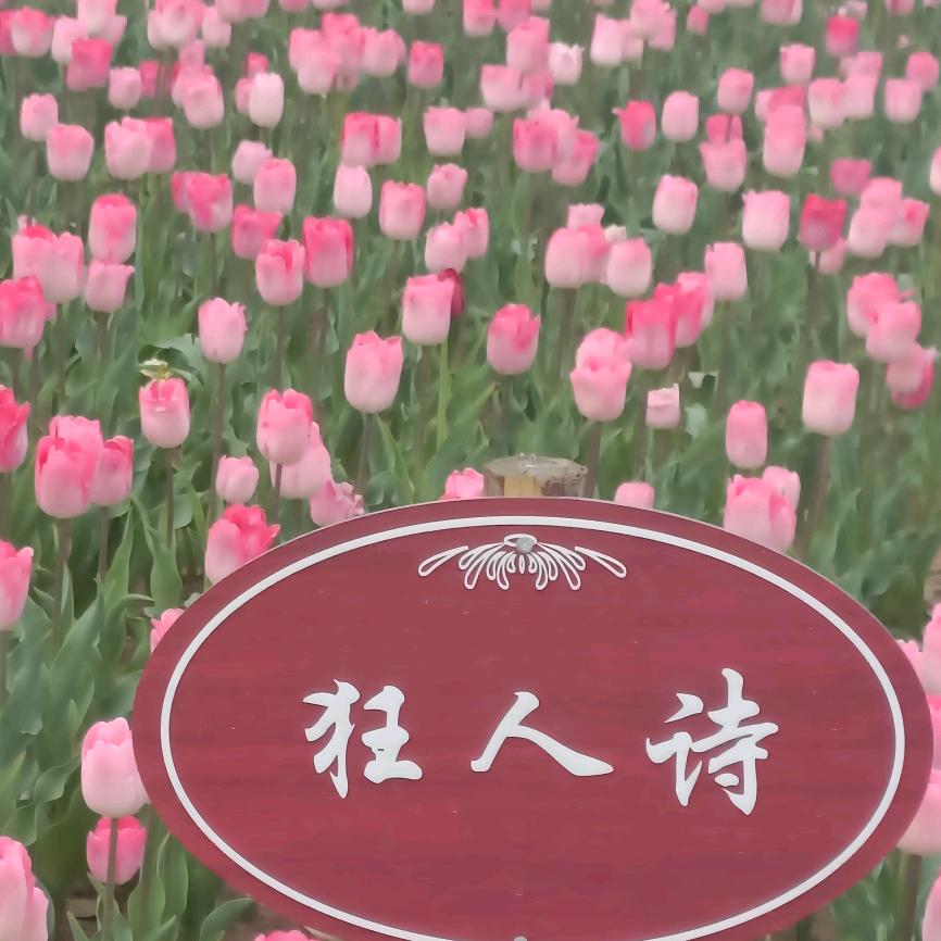 ៚吉ོ星ོ高ོོ ͜赵✿ ҉҉҉҉҉