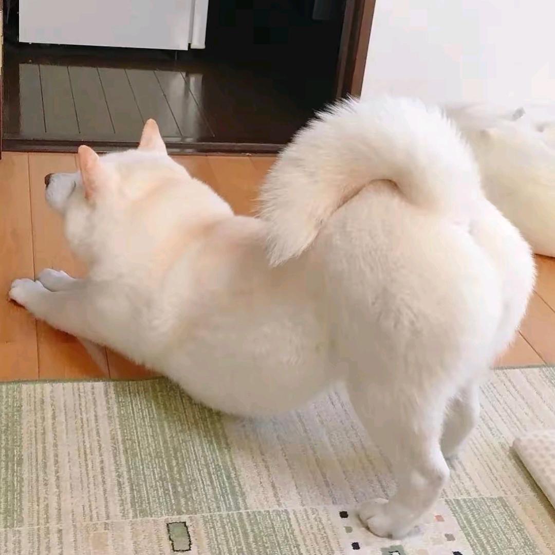 李周周