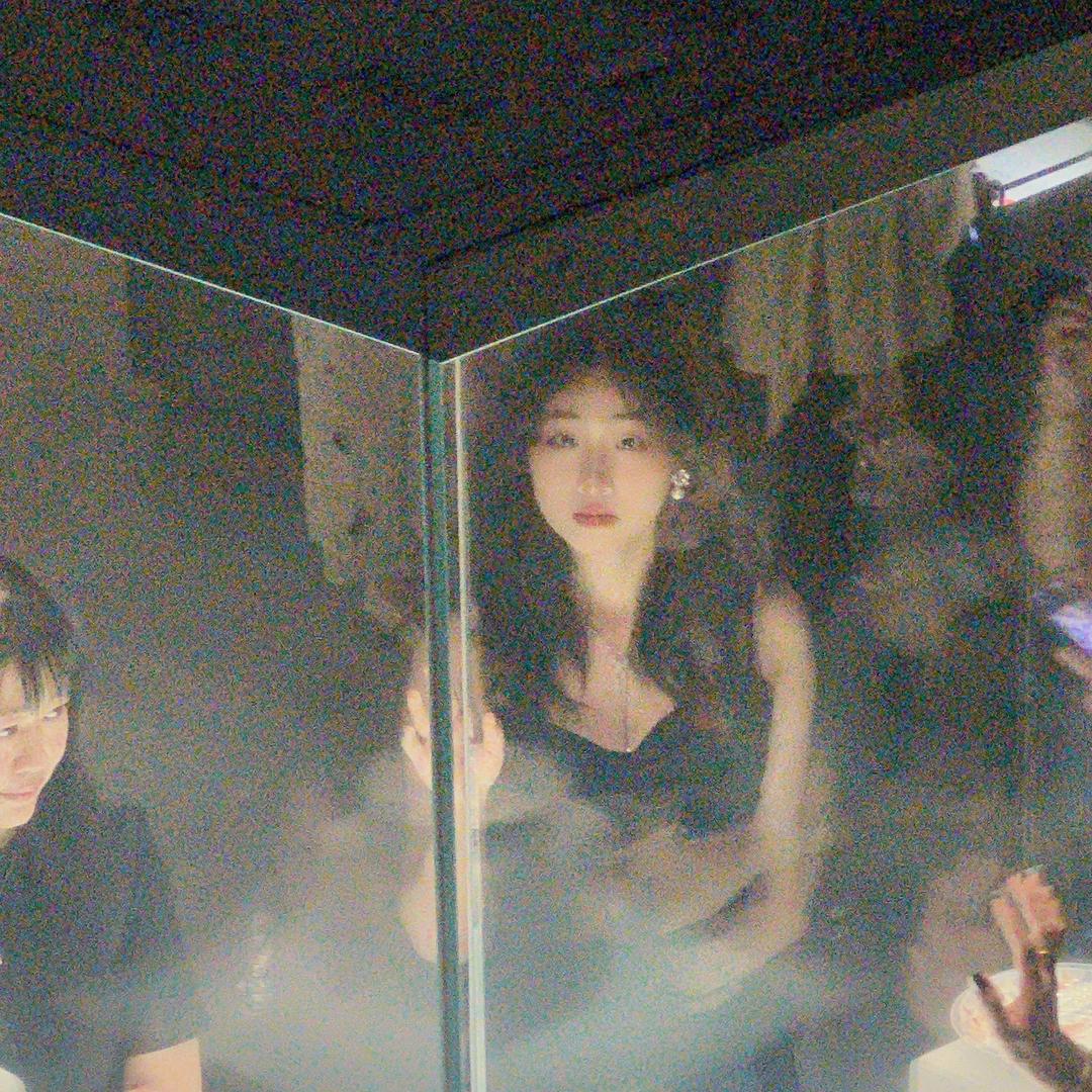 爱撞树的大白猫