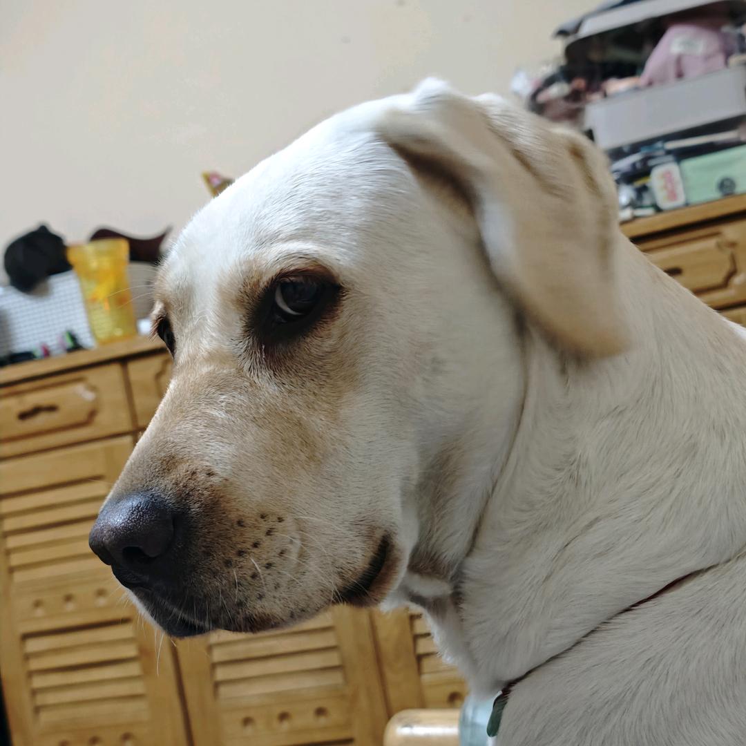 🌈非洲小白脸丶