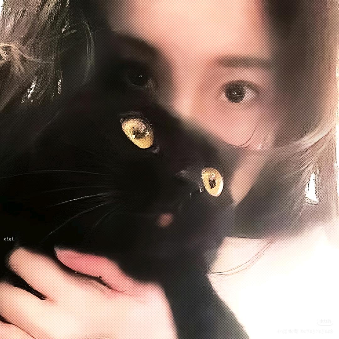 问蒹葭不成问苍苍