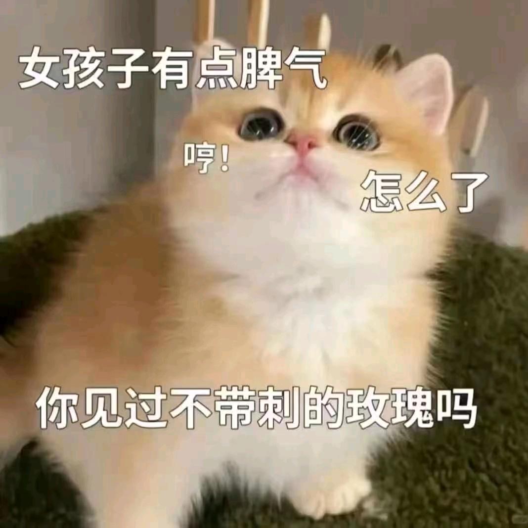 香菜不加葱