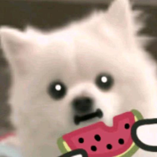 梦求真(暗区突围)