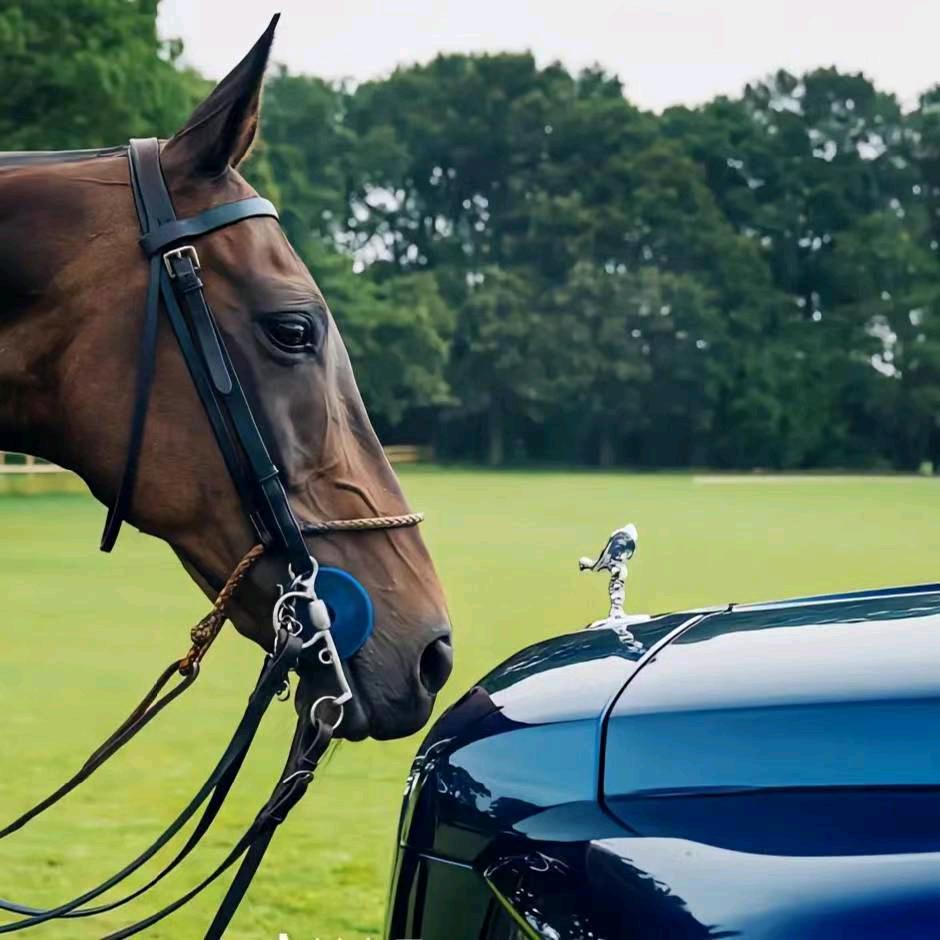 ネф̶  イω❛‿˂̵✧