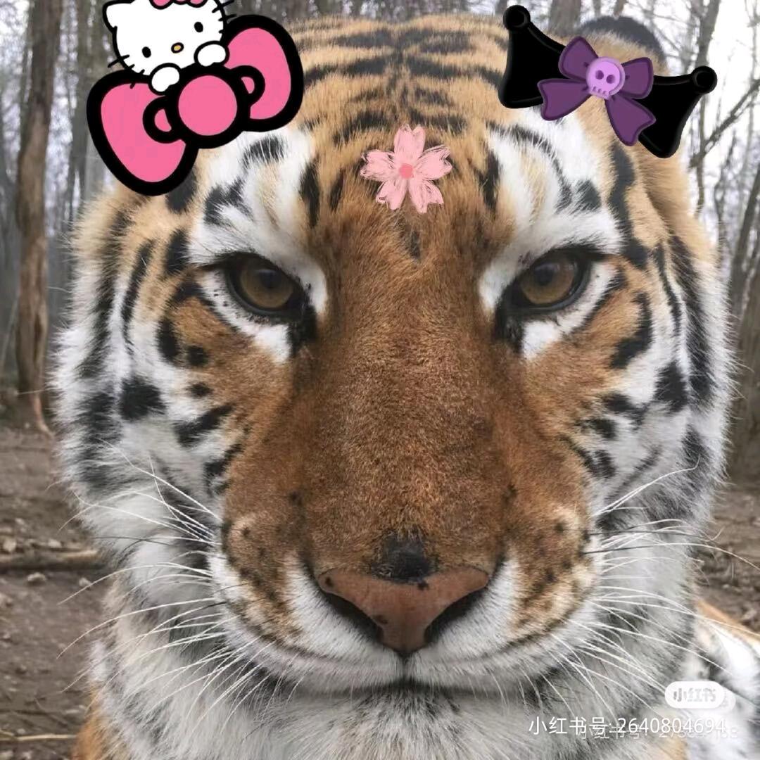 🌈🌈🌈