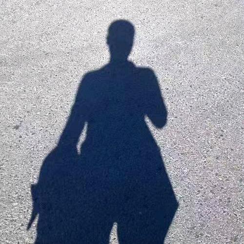 骑着毛驴的太子