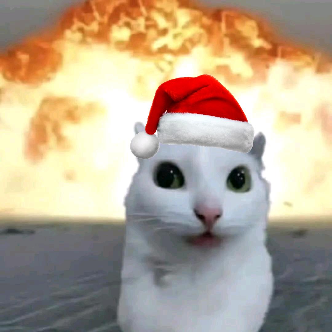 当务之急是把整容价格打下来