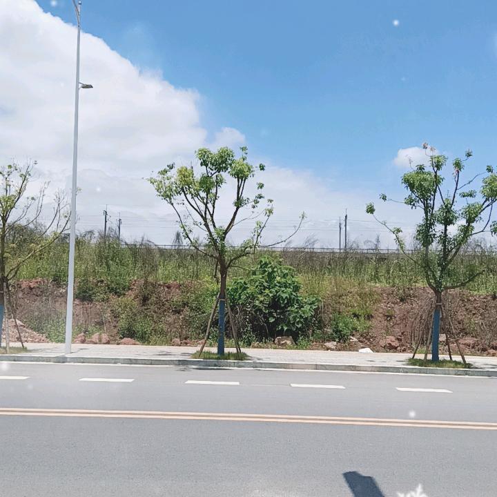 幸福感恩