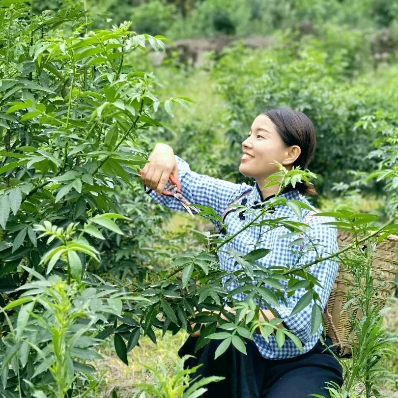 乐夫植保工厂店