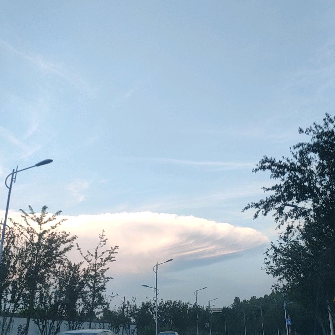 骑驴追风