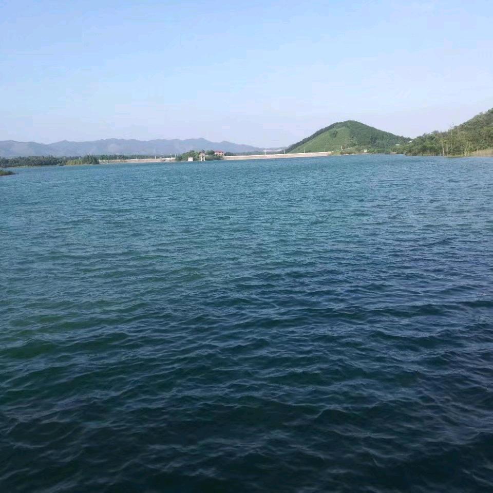 (❁´噗◡该`❁)*✲ﾟ*