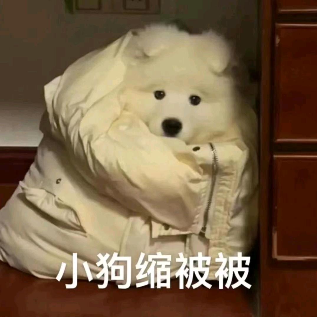 打不过关的Tomato