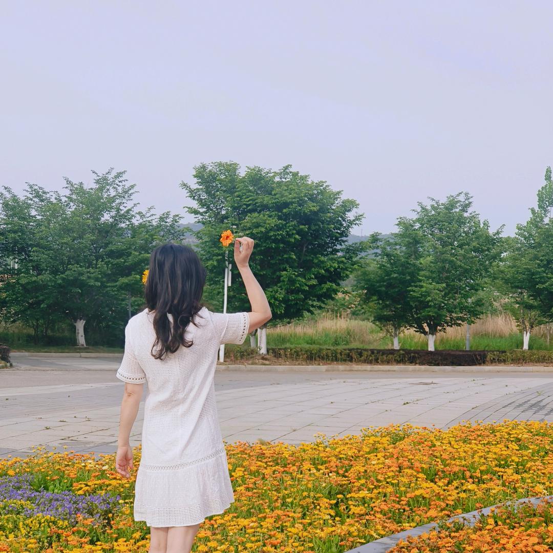 京山海尔家电王姐