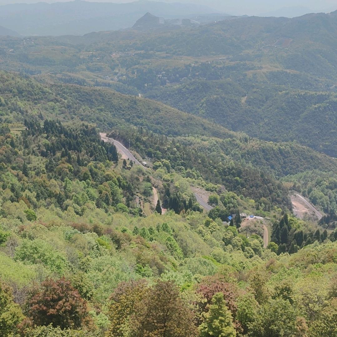 ╭(╯待到✘风云起╰)╮