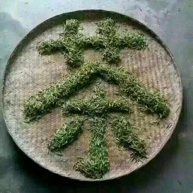 蚌埠卖茶叶的老板