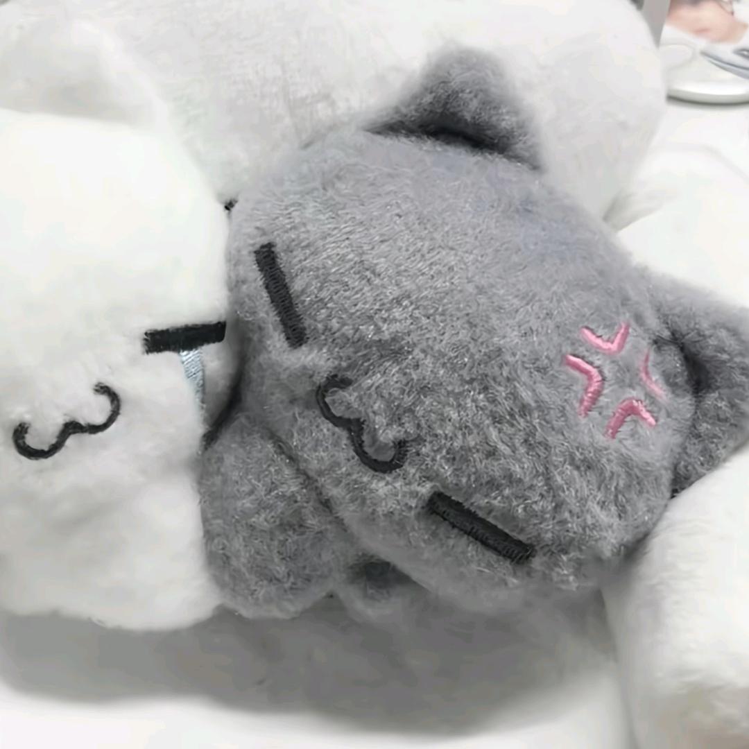 桃口梓